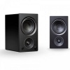     PSB Speakers Alpha AM3 Black  