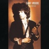    Gary Moore - Run For Cover (LP)  