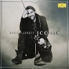    David Garrett - Iconic (2LP)  