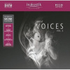    Various - Great Voices Vol. 2 (2LP)  