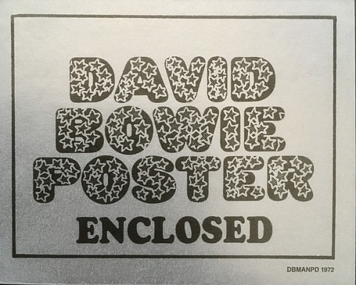 картинка Пластинка виниловая David Bowie - The Man Who Sold The World (LP) магазин являющийся официальным дистрибьютором в России