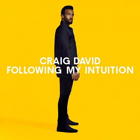    Craig David  Following My Intuition (2LP)         