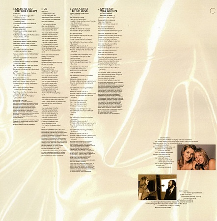    Celine Dion - Let's Talk About Love (2LP)         