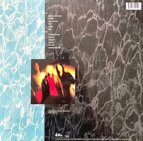    Nirvana - Nevermind (LP)      