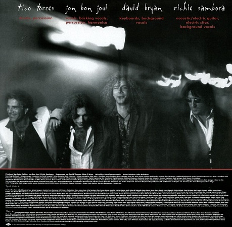   Bon Jovi - These Days (2LP)         
