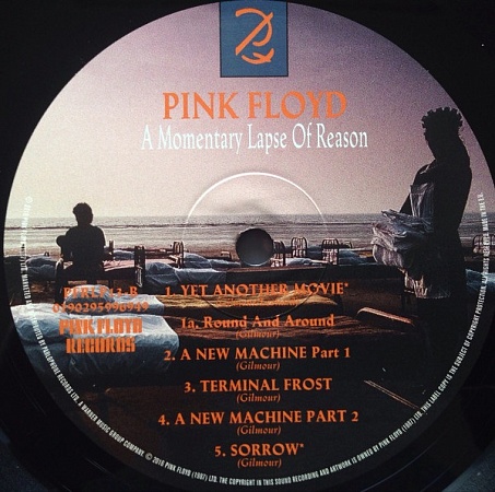    Pink Floyd - A Momentary Lapse Of Reason (LP)         