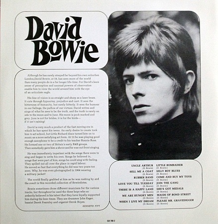    David Bowie - David Bowie (2LP)      