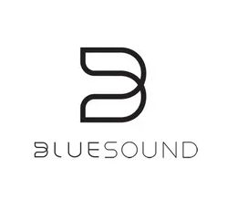 Bluesound Pulse Soundbar+: теперь с Dolby Atmos