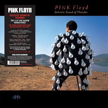 картинка Пластинка виниловая Pink Floyd - Delicate Sound Of Thunder (2LP) от магазина