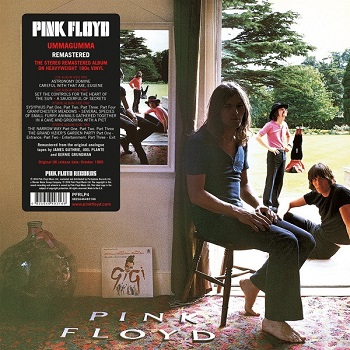 картинка Пластинка виниловая Pink Floyd - Ummagumma (2LP) от магазина