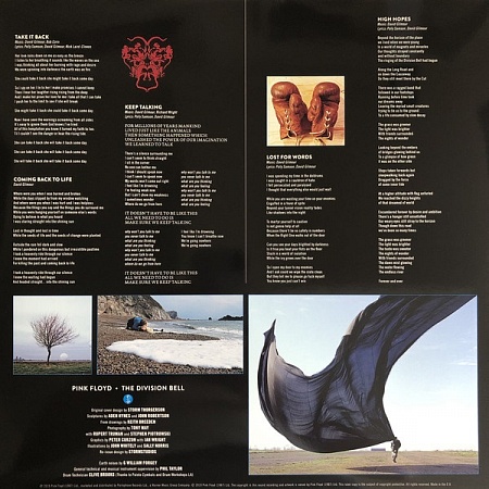 картинка Пластинка виниловая Pink Floyd - Division Bell (2 LP) магазин являющийся официальным дистрибьютором в России