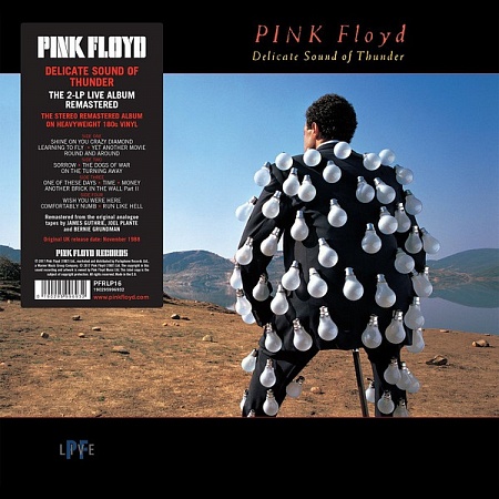 картинка Пластинка виниловая Pink Floyd - Delicate Sound Of Thunder (2LP) магазин являющийся официальным дистрибьютором в России