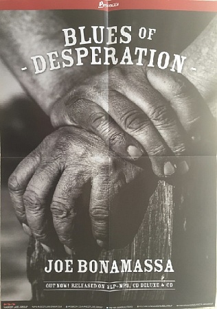 картинка Пластинка виниловая Joe Bonamassa - Blues Of Desperation (2LP) магазин являющийся официальным дистрибьютором в России