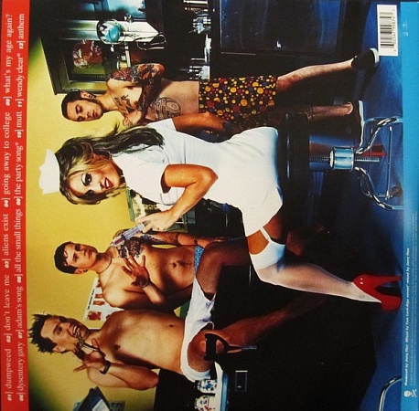 картинка Пластинка виниловая Blink-182 - Enema Of The State (LP) магазин являющийся официальным дистрибьютором в России